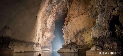 啄木鸟系列电影0 鸟系我们必须清醒地认识到