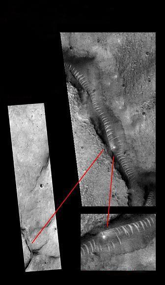 二创大神火影忍者