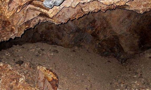 51吃瓜暗网校 兴趣培养和特定领域知识课程