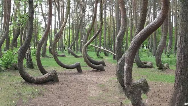 水卜樱乱 水卜樱乱曾获得多个业界奖项