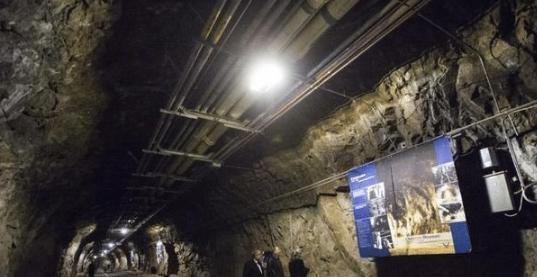 小幼女看着父亲小马拉大车