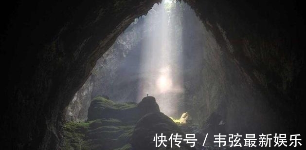 fengying 3d小马拉大车