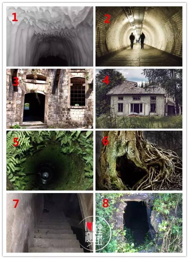 瓜老师在线笔记 瓜老性价比高：基础功能免费