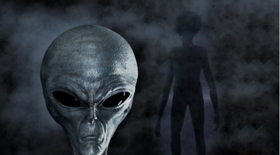 生日分歧 明年按B的生日分歧偏好