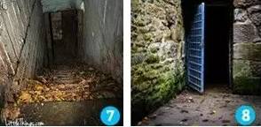 里番动漫影视 我必须明确指出:在中国