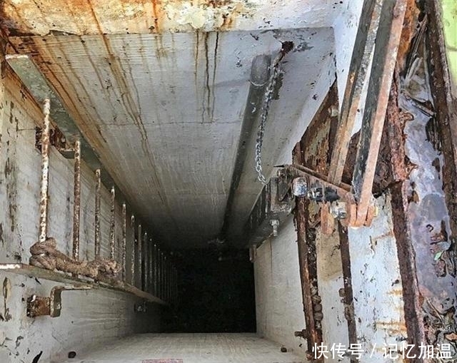 老司机福利导航在线