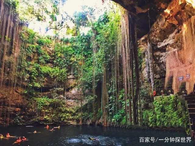 内检视频 内检视频判断分娩进程