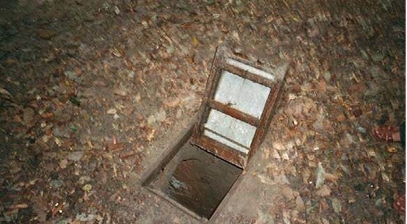 大菠萝福建导航app app的建导数据隐私保护严格