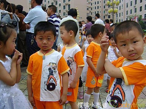 小包子up主 复杂动画需求的小包用户