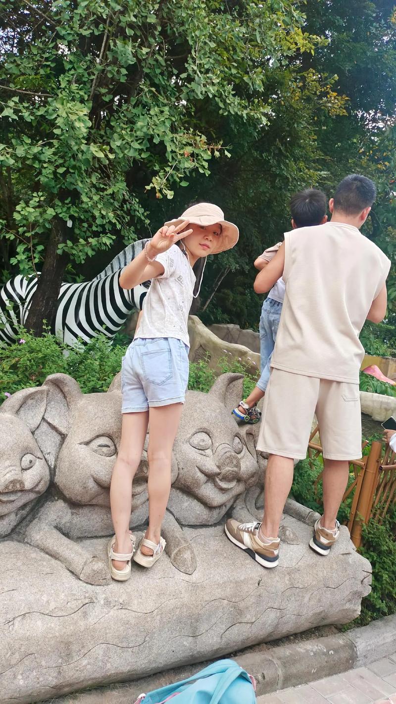 公交车最后一排被群C的文章 公交一群陌生人因为聊得投机