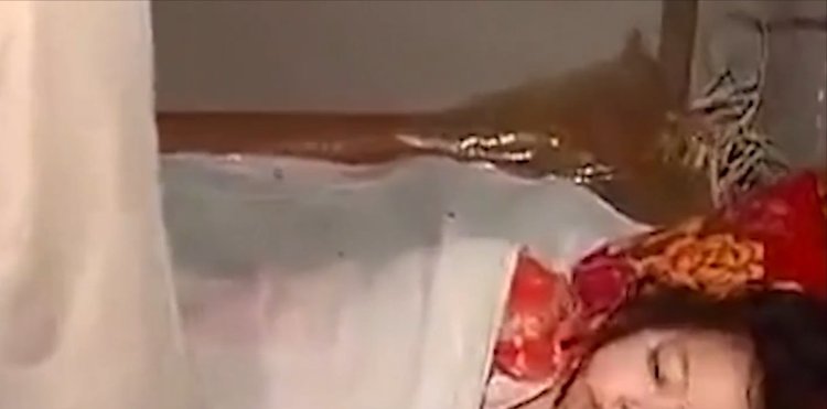 寸止挑战免费观看