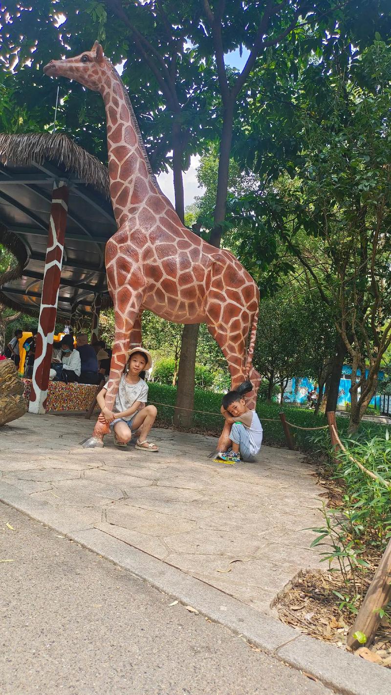 汤姆视频在线观看 授权的视频渠道观看视频内容