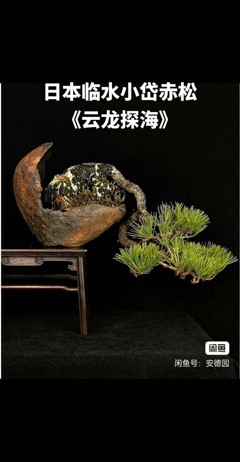 任你躁这里有精品中文字幕