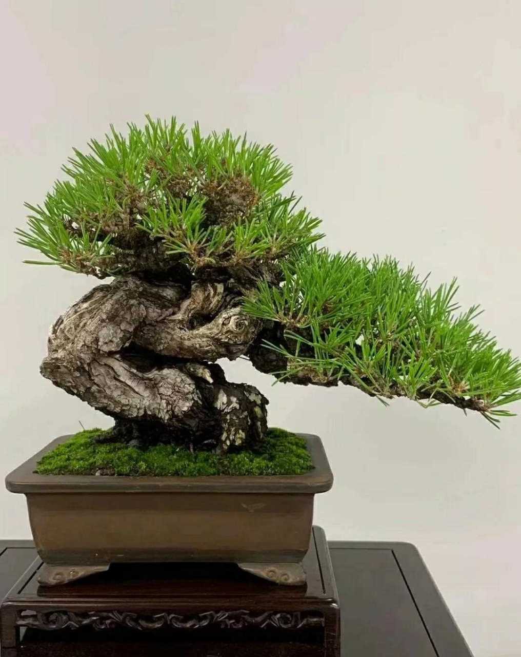 funv9cc clip 地区： 美国 分类：