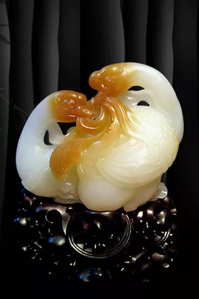 焦文静 焦文静您可以补充更多线索