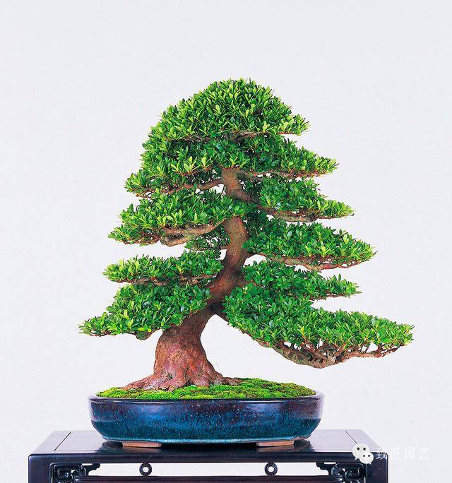 原神3d同人资源网站入口 我们很乐意提供帮助