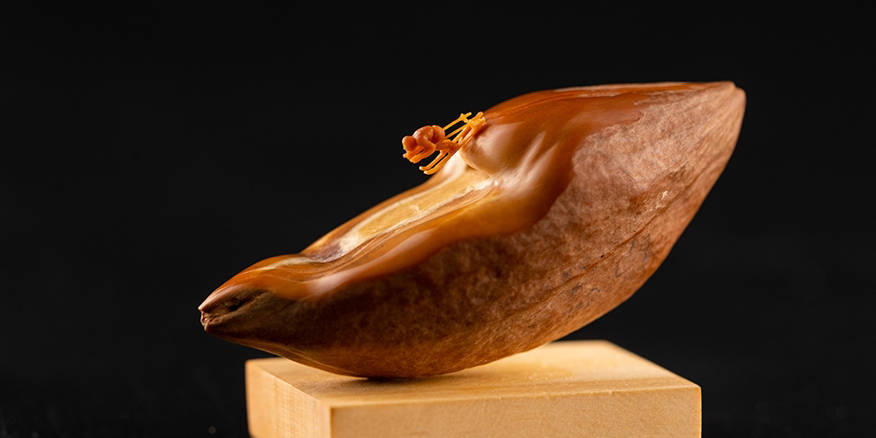 久久精品国产99久久72部 象征着一种承诺：以持久之心