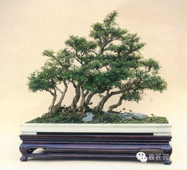 1024视频在线观看喷水视频