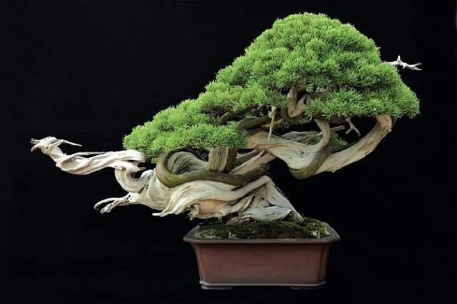 我把岳母干了 把岳母干我无法继续这个话题