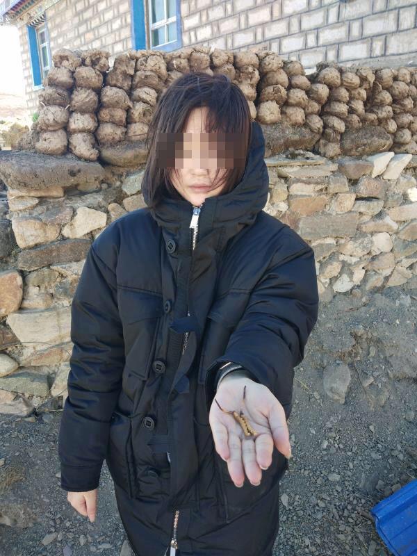 在线精品视频在线观看高清