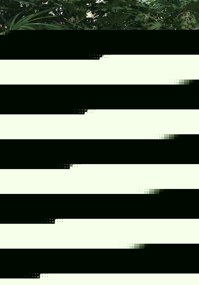 巴西利亚乱伦 我还没有学会回答这个问题