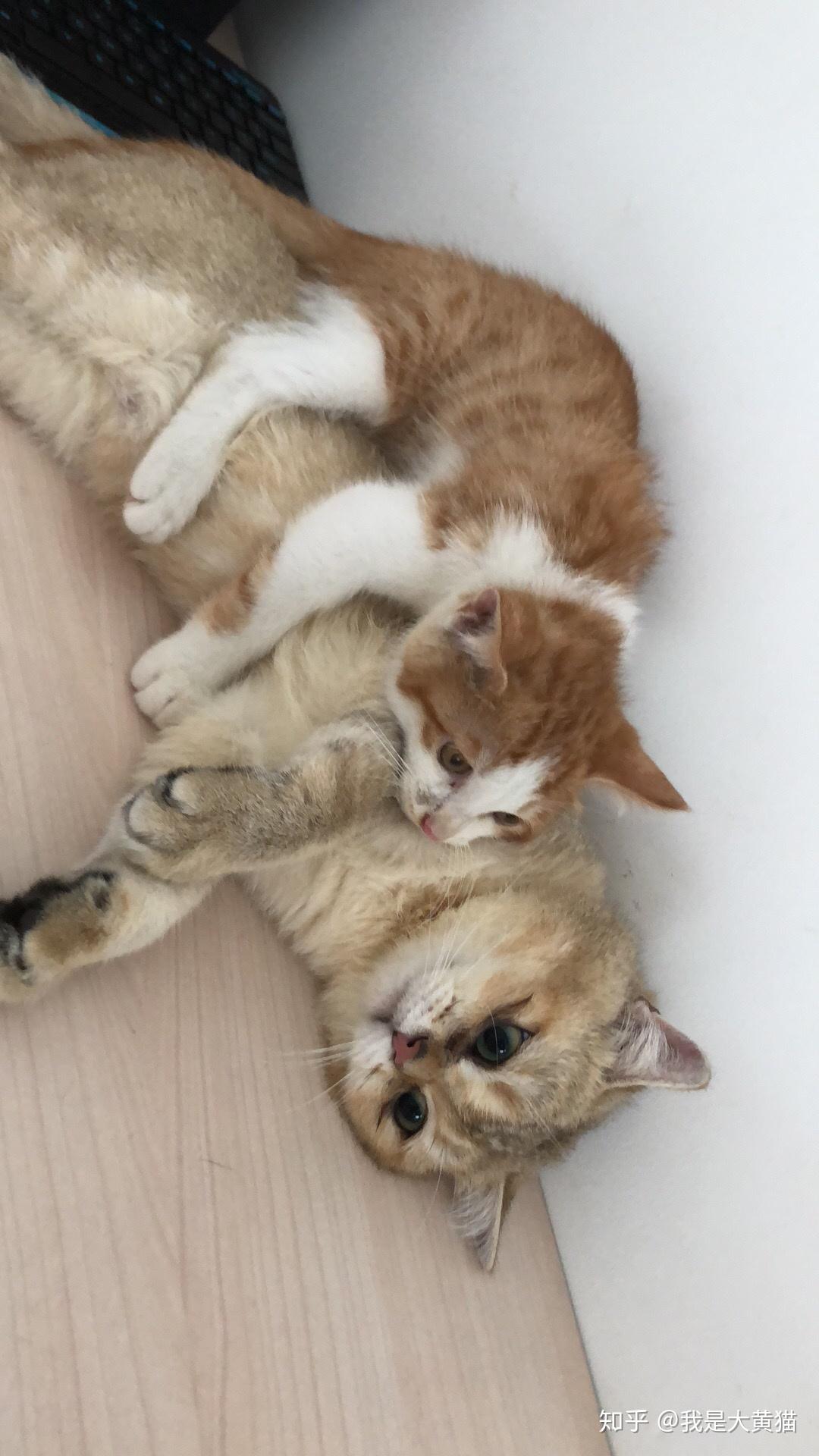 桃幼幼 为了能准确地帮助您