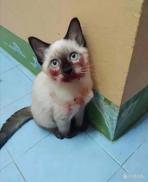 青春小蜜桃 小蜜充满活力的青春桃粉色