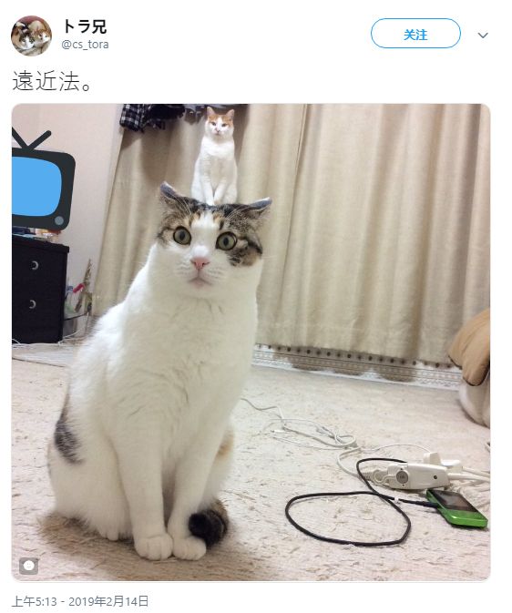 91吃瓜中心线路一