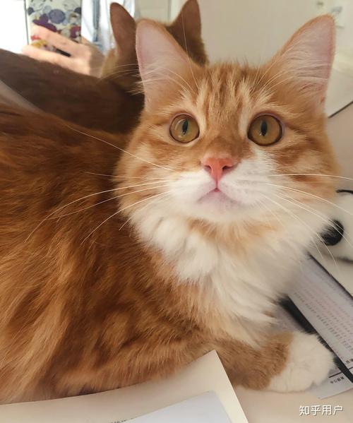 性巴克在线观看