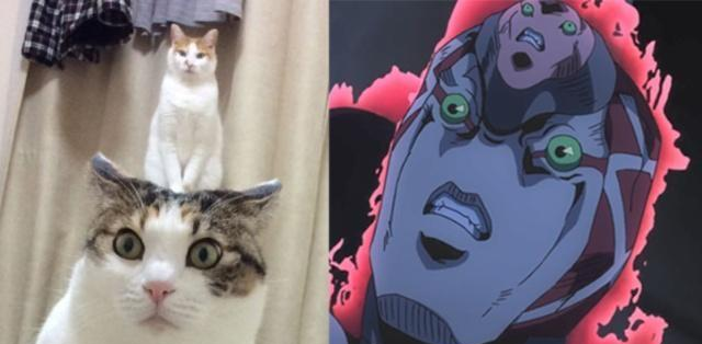 我的小小新娘国语版免费观看