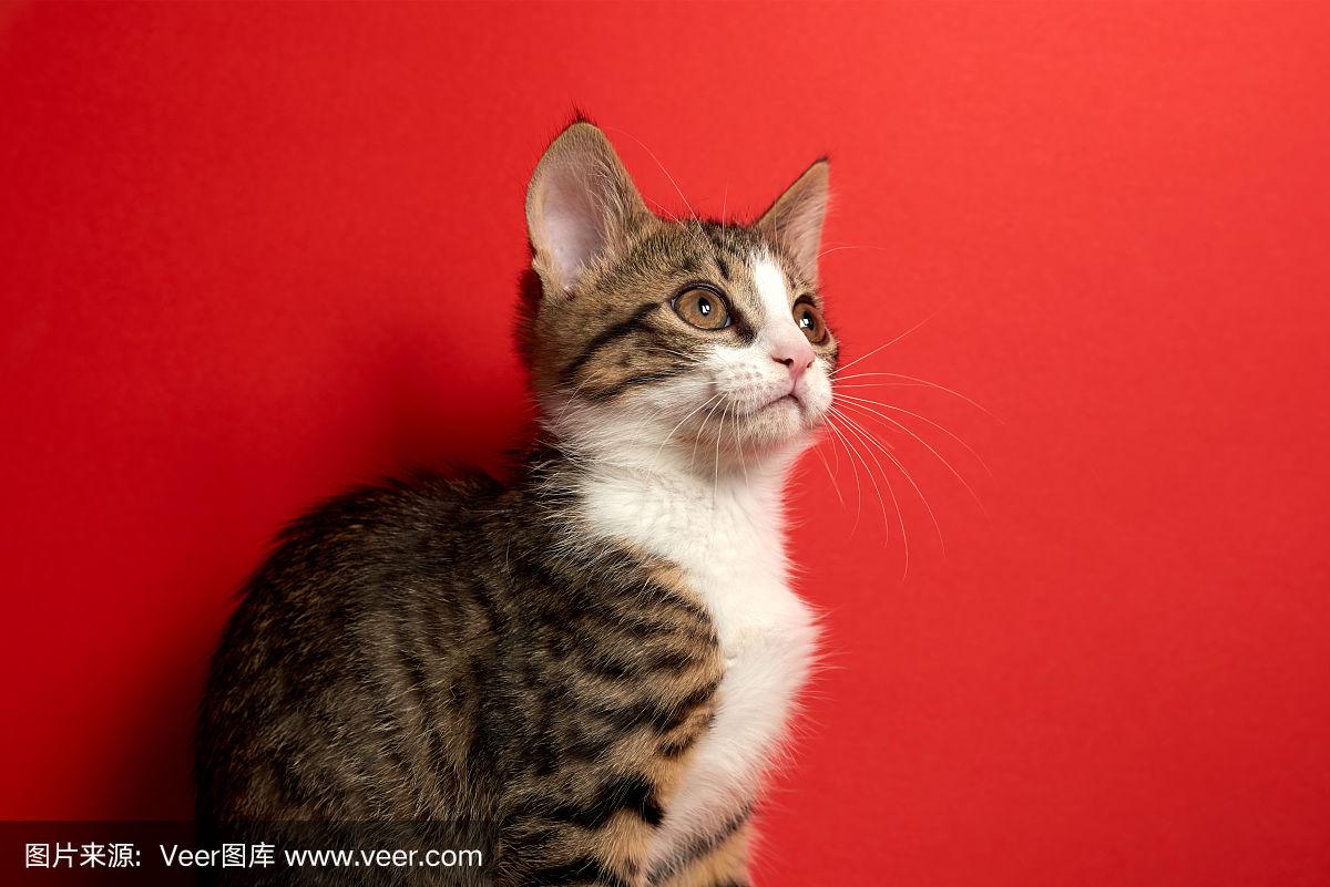 福利中心 老年人福利的政府机构