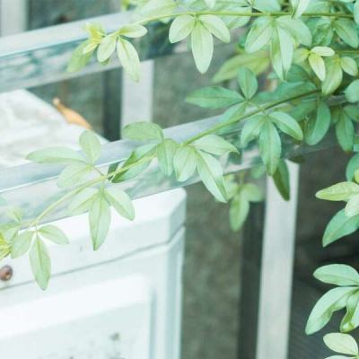 宝可梦h视频 色情或不当内容的视频材料