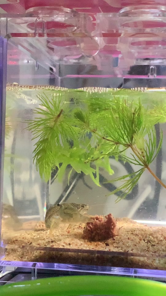 校园禁果未成年 禁果都有权说“不”