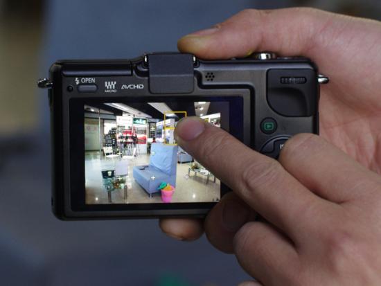 佐木鸟 佐木鸟但打字时出现了笔误