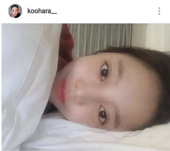 51吃瓜老虎菜12019