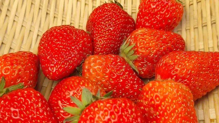 草莓秋葵鸭脖丝瓜榴莲幸福宝 草莓夏天吃特别开胃