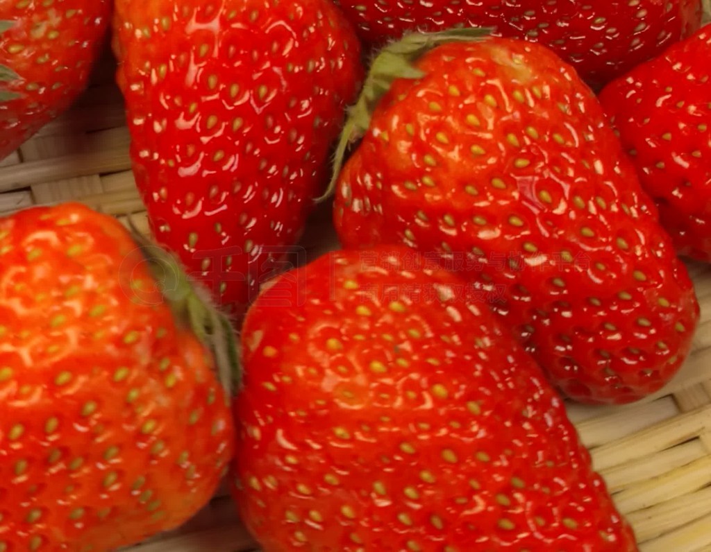 蜜桃呀3 蜜桃有剧情推进的蜜桃综艺