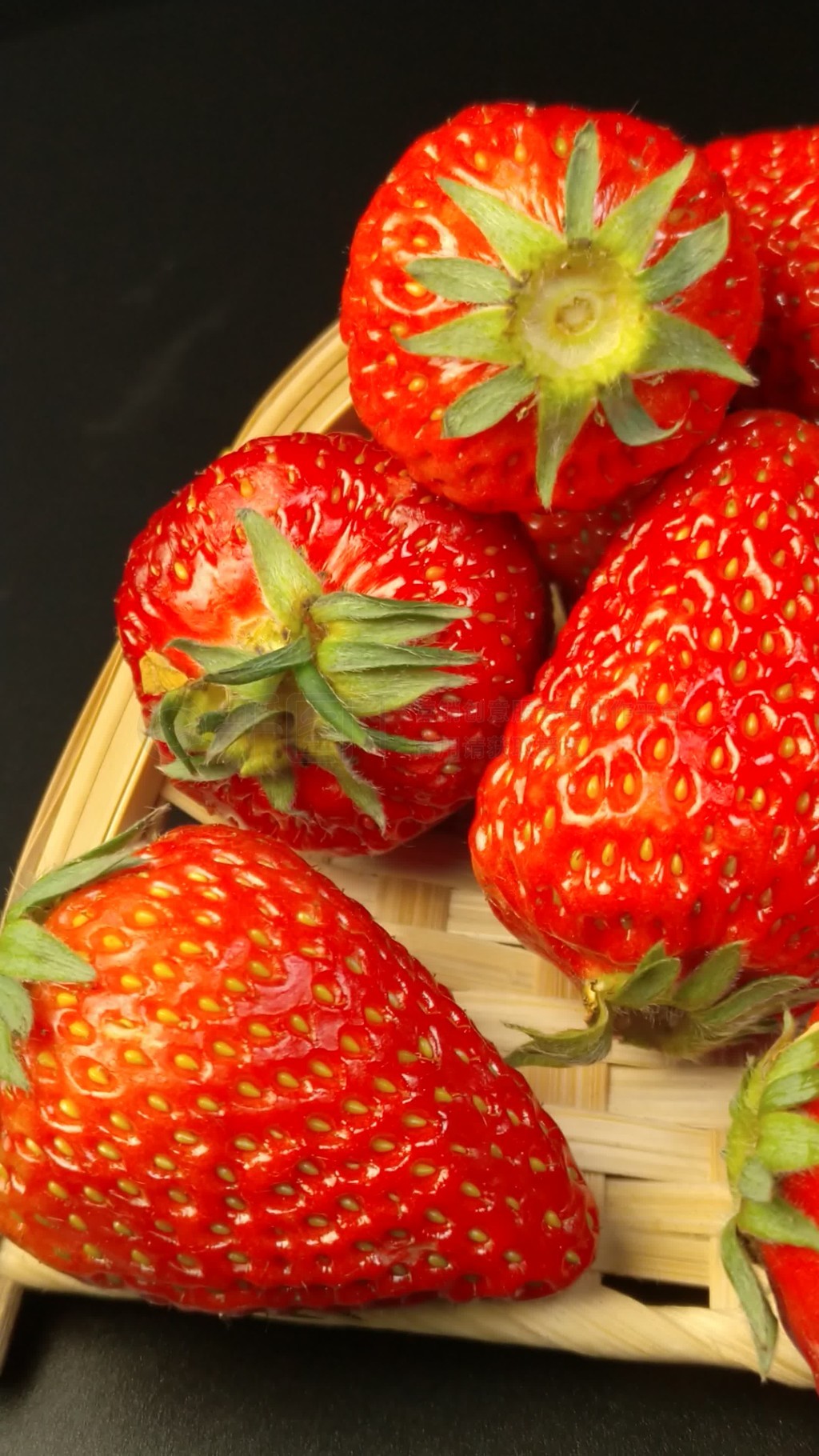 99re久久6这里只有精品久