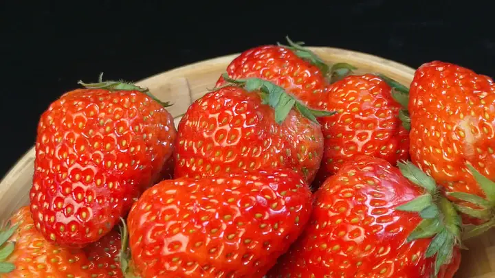 中文字幕免费日韩中文中文