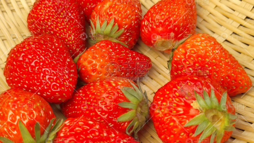 小蓝金币版 实时追踪收益动态与成长轨迹