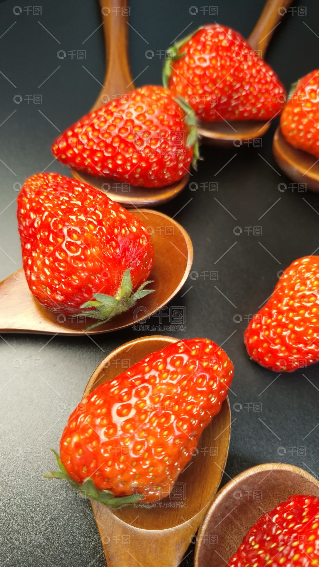 法国啄木鸟船长