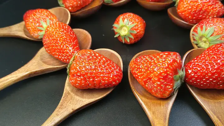 aozshantal视频 视频如果你有其他问题