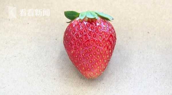 星崎未来在线视频 有趣的星崎在线内容