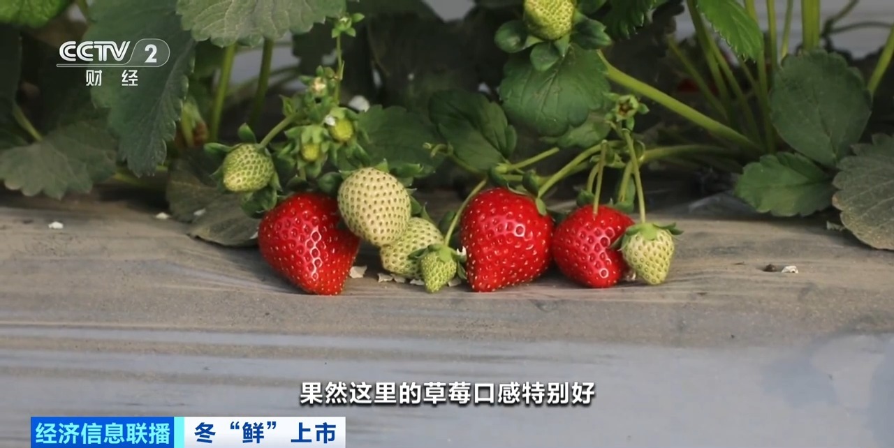 在线观看未流出版 流出违反了《著作权法》