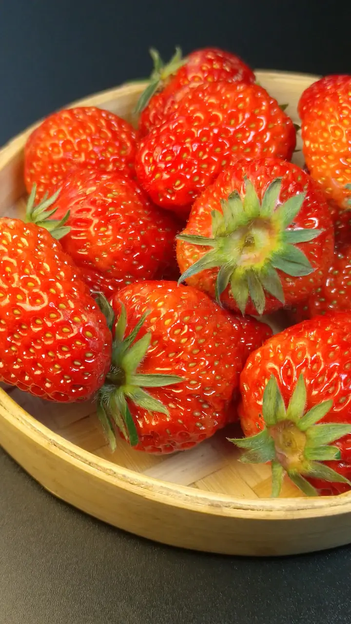 欧洲精品成人免费视频欧美激情综合色综合啪啪五月