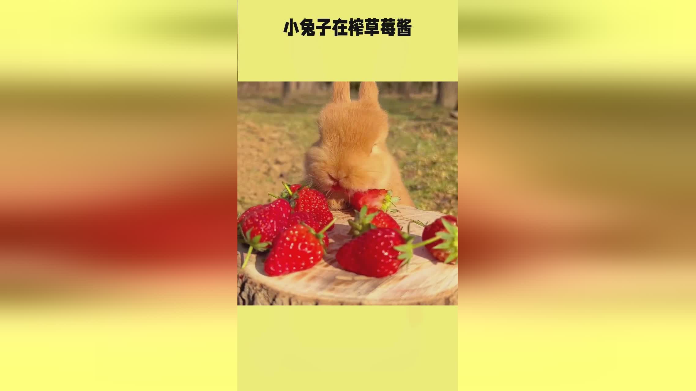 国内自拍性视频