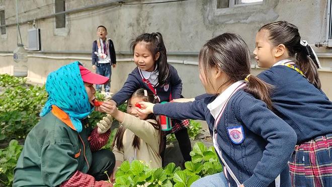 火影忍者小樱本子在线观看 小樱我很乐意为你提供帮助