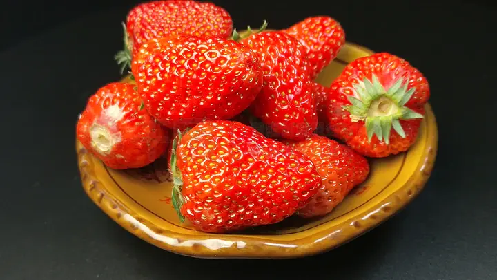 小蓝视频破解版v4.6.0的功能介绍