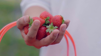 雷电将军挤乳液给巴巴托斯吃 味道真的将军挤乳不错