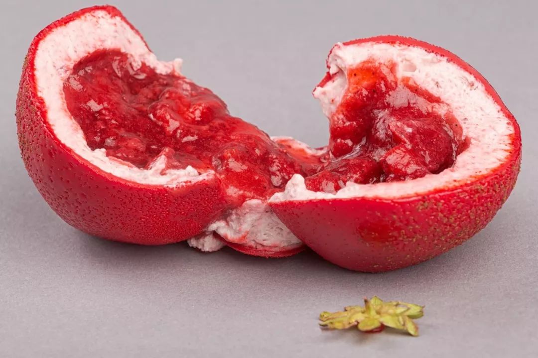 5 1 视 频 请提供更详细的视频信息